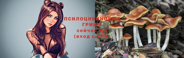 кокс Арсеньев