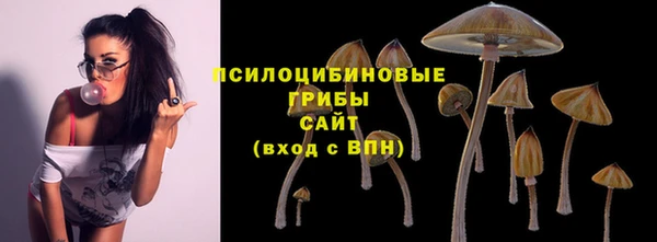 индика Аркадак