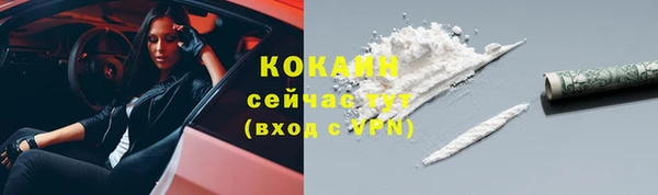 кокс Арсеньев