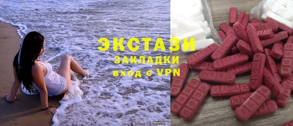 индика Аркадак