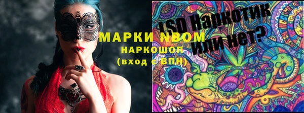 индика Аркадак