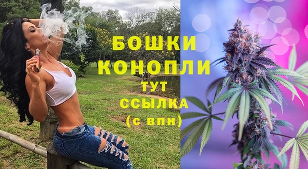 крисы Армянск