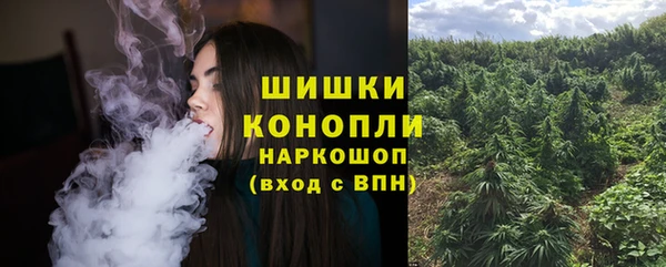 индика Аркадак