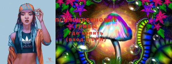 индика Аркадак