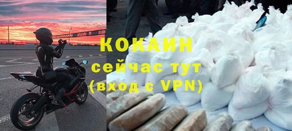 индика Аркадак