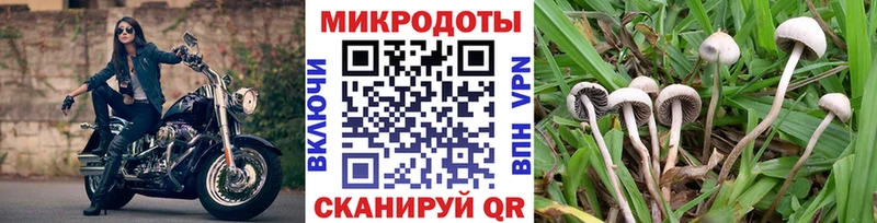 Галлюциногенные грибы GOLDEN TEACHER  купить наркотик  Остров 